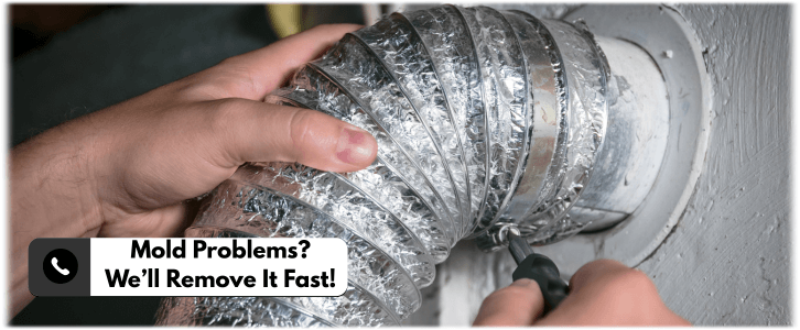 Air Duct Mold Removal in Alexandria VA
