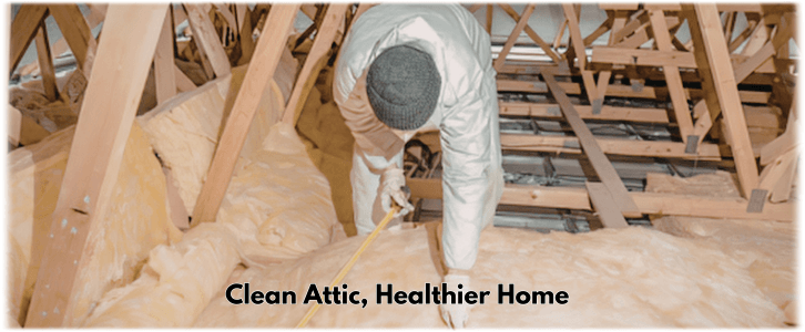 Attic Cleaning Alexandria VA